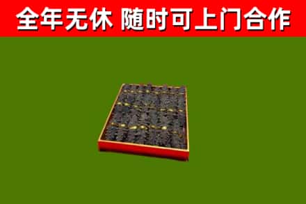 大安回收海参